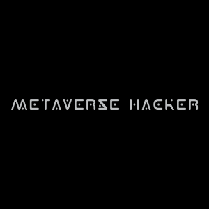 Metaverse Hacker